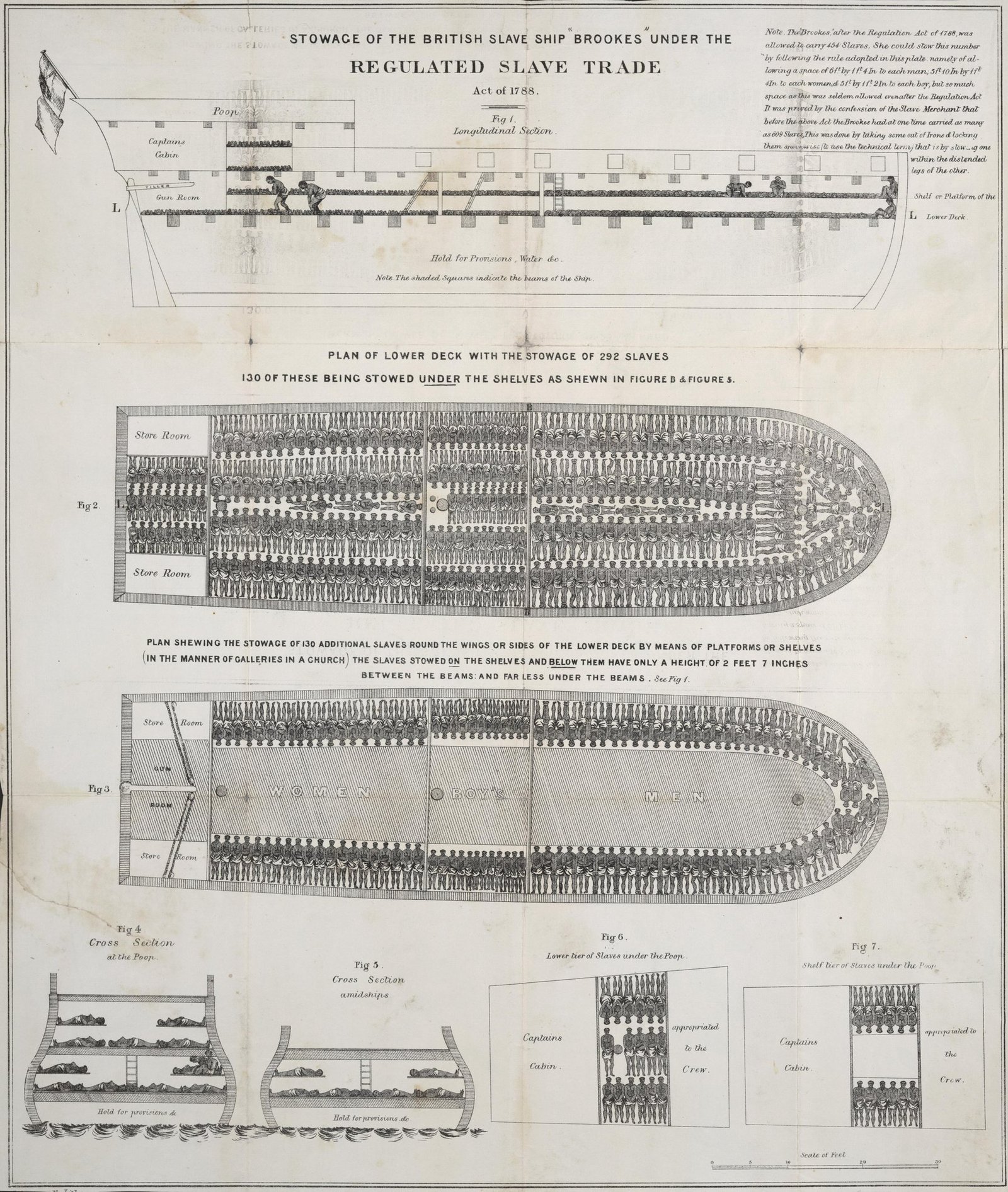 historical representation of human confinement. The 1788 plan of the slave ship Brookes translated atrocity into a legible diagram and became an influential abolitionist image. Plymouth Chapter of the Society for Effecting the Abolition of the Slave Trade